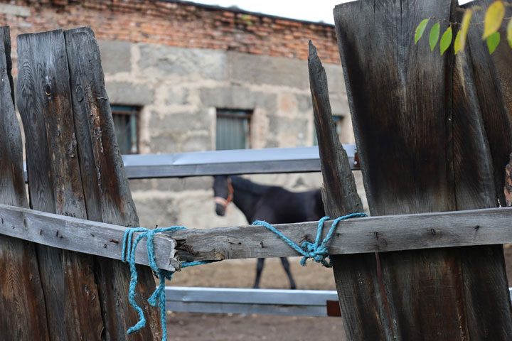 Фото: 19rusinfo.ru 