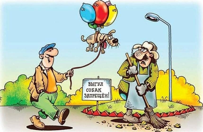 Изображение: avatars.dzeninfra.ru