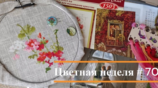 Цветная неделя 70 // 19.09.2024-25.09.2024. Айне, Совиный лес, Кларт, Овен, Риолис