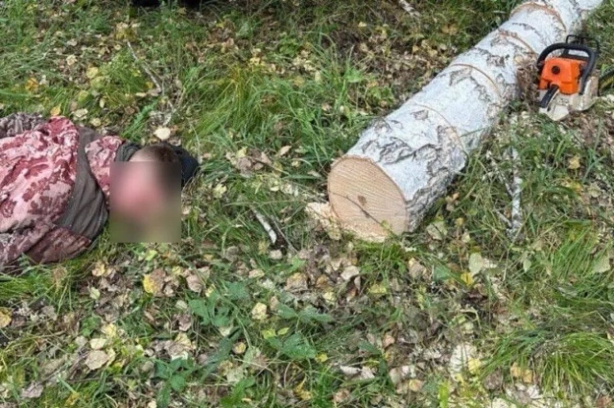    Лесорубов задержали на месте преступления.