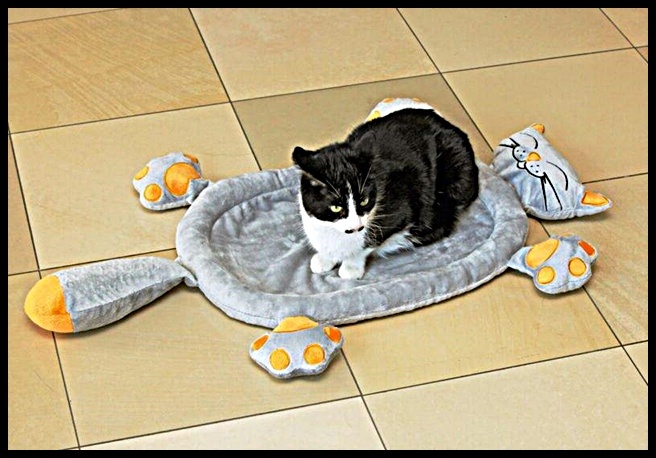 Эх, опять новую подстилку придется рвать!