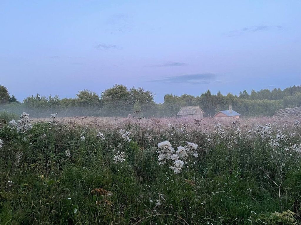 Пейзажи северного лета завораживают