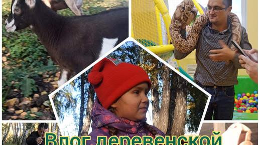 Конец сентября, а лес ещё зелёный! 🌳Гуляем с козами🐐 У меня отпуск😃 Влог деревенской жизни