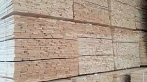     Источник: Управление Россельхознадзора по Кировской области, Удмуртской Республике и Пермскому краю