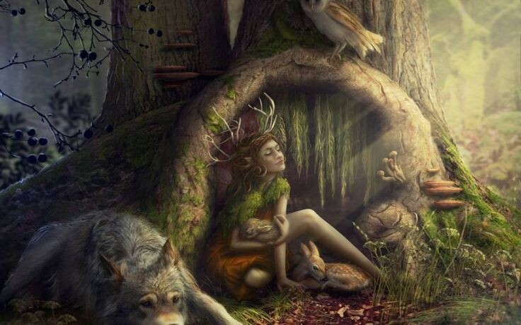 Яндекс картинки 