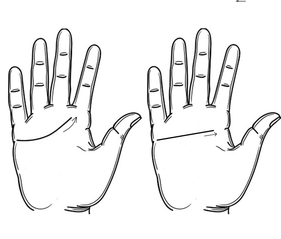 Слева изогнутая линия сердца, справа горизонтальная. dzen.ru