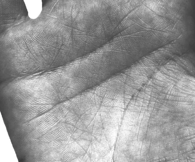 прямая горизонтальная линия сердца tirgto.ru