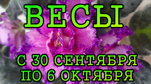 ВЕСЫ таро прогноз на неделю с 30 СЕНТЯБРЯ по 6 ОКТЯБРЯ 2024 года.