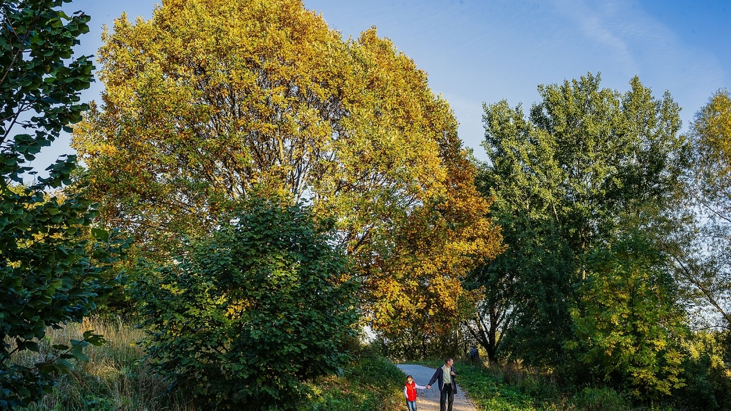    Roman Denisov/Global Look Press