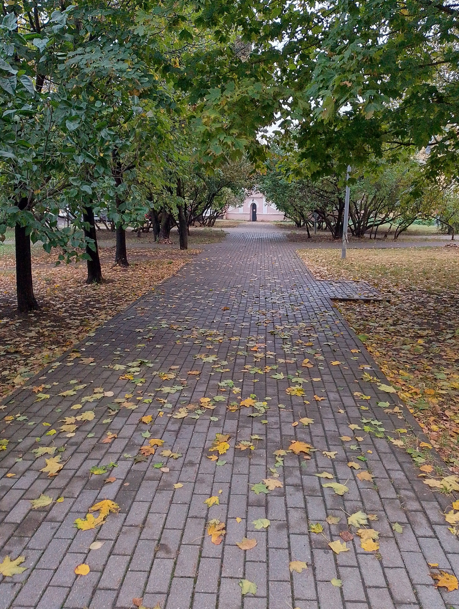 Парк_____ личное фото архив_____