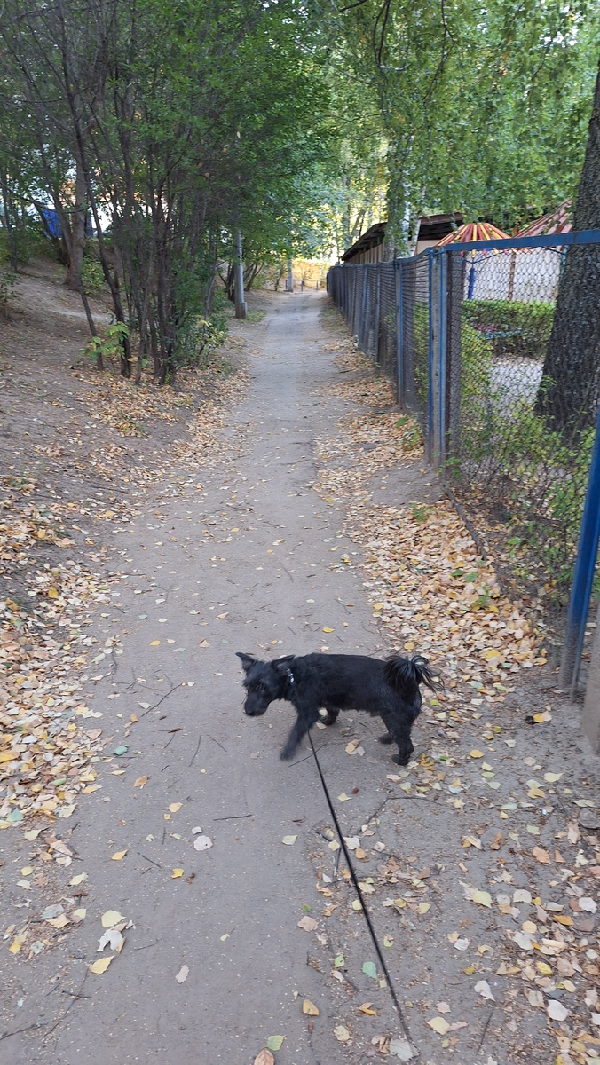 С утра пробежались и прогулялись 