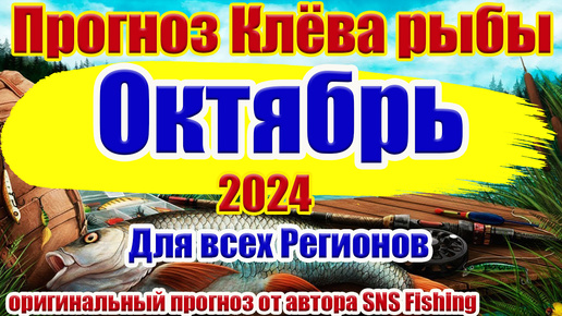 Каким будет клёв в Октябре. Календарь рыбака на Октябрь 2024