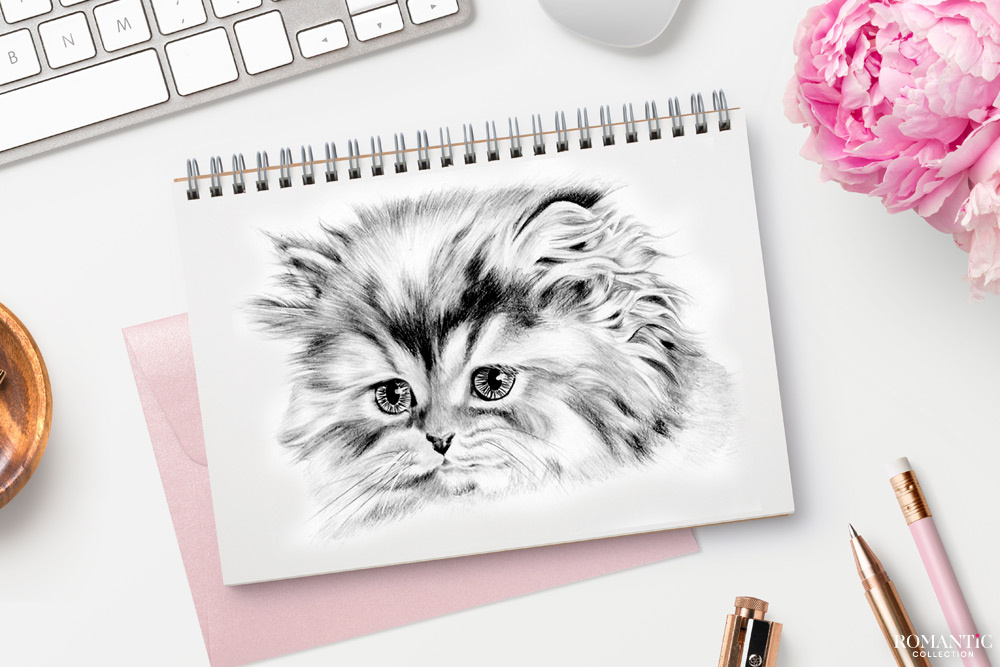 Черно-белые рисунки карандашом