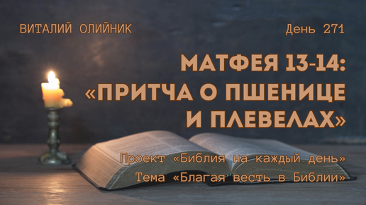 День 271. Матфея 13-14: Притча о пшенице и плевелах | Библия на каждый день | Благая весть в Библии | Виталий Олийник