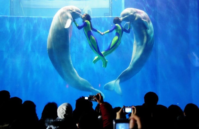 источник travelask.ru