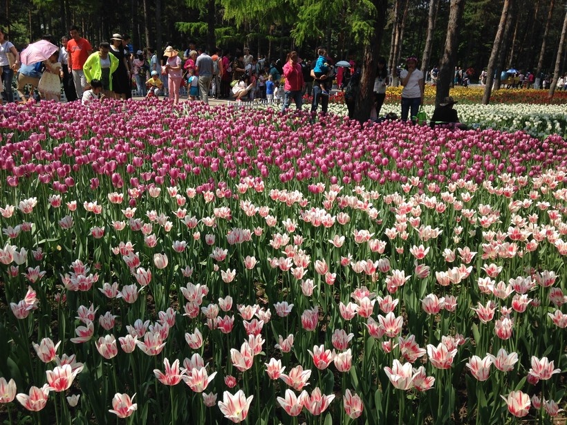 источник travelask.ru