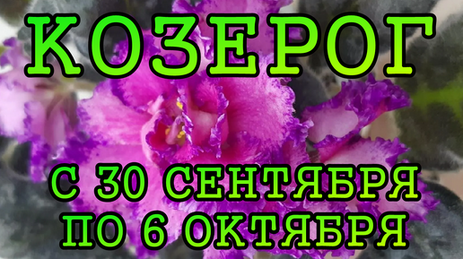 КОЗЕРОГ таро прогноз на неделю с 30 СЕНТЯБРЯ по 6 ОКТЯБРЯ 2024 года.