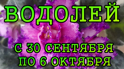 ВОДОЛЕЙ таро прогноз на неделю с 30 СЕНТЯБРЯ по 6 ОКТЯБРЯ 2024 года.