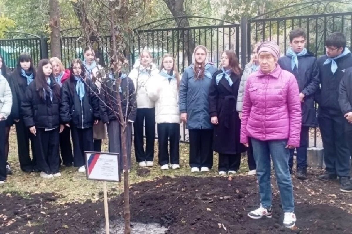    В Тюмени в честь героев СВО высаживают именные деревья
