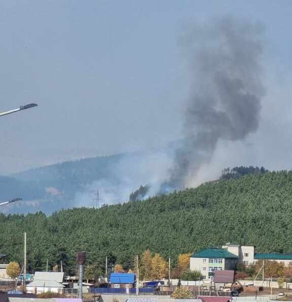    Фото: Telegram-канал Татьяны Цымпиловой   📷   Фото: Telegram-канал Татьяны Цымпиловой