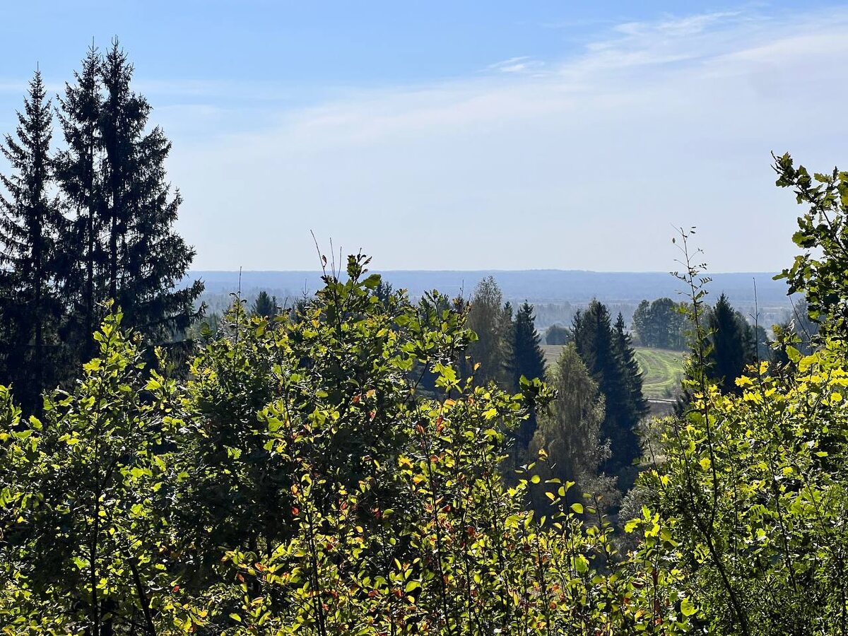 Прекрасный вид, но немного мешают деревья