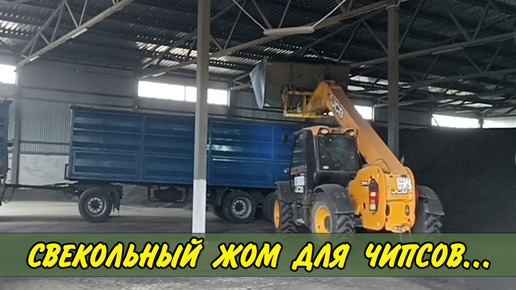 Download Video: Делаю 🚚 РЕЙС в Азов... 😢 Развели в кафе на 600 рублей... Камаз зерновоз