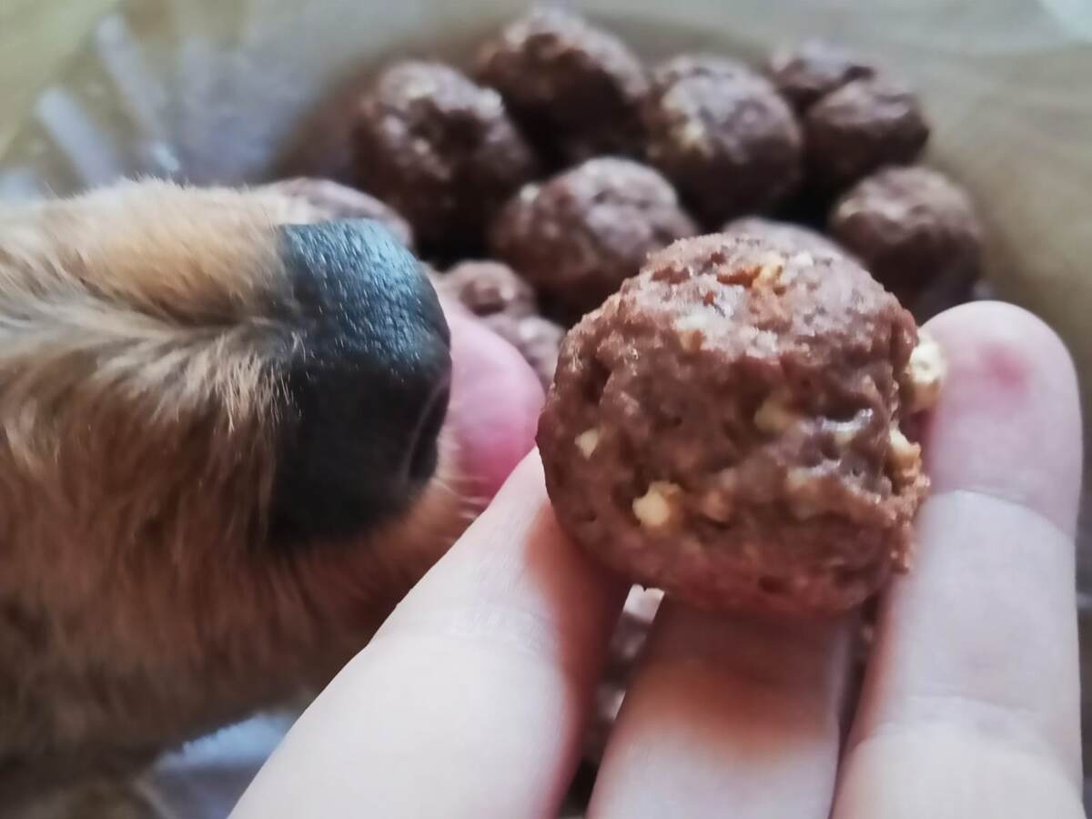 Румпель - Ну хотя бы лизнуть...