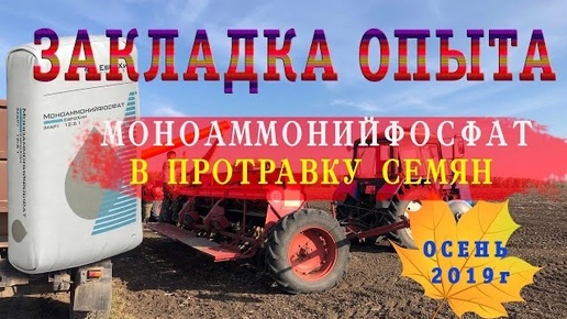 Протравливание семян озимой пшеницы. ЗАКЛАДКА опыта по обработке семян Моноаммонийфосфатом.