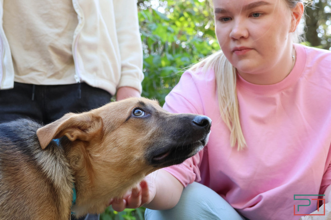 Фото: Юлия Бидун, «РТ»