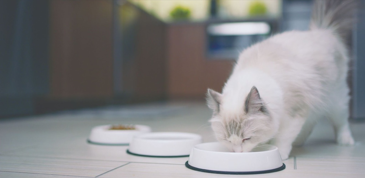 фото с просторов интернета