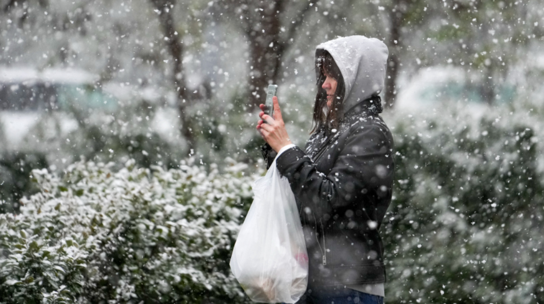 Фото: ИЗВЕСТИЯ/Дмитрий Коротаев 
