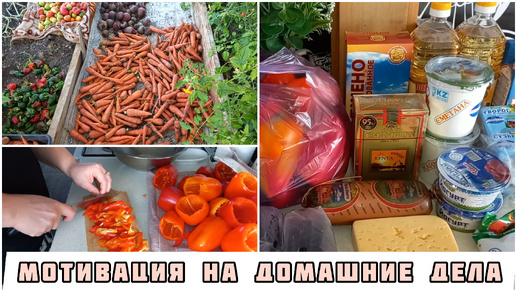 Tải video: ЗАГОТОВКА СЛАДКОГО ПЕРЦА❄️ЗАКУПКА ПРОДУКТОВ🛒