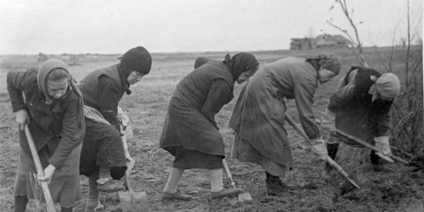    Ленинградцы, выжившие после первой голодной зимы, берутся за выращивание овощей.предоставлено музеем