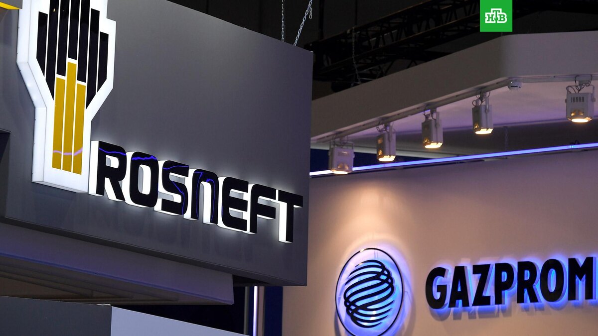    Фото: РИА Новости © 2024, Евгений Биятов