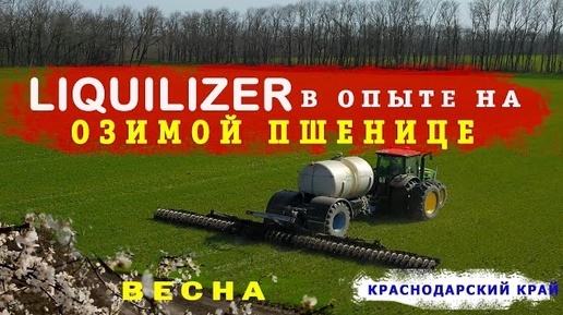 ТИОСУЛЬФАТ АММОНИЯ + КАС32 внесение в почву ликвилайзером! Опыт на озимой пшенице.