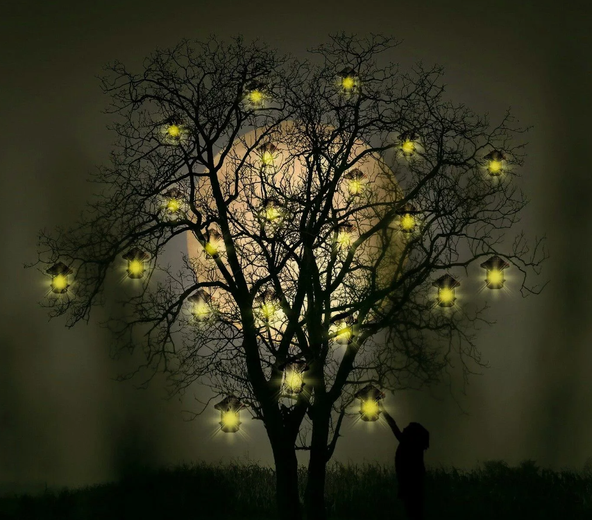 картинки Яндекс