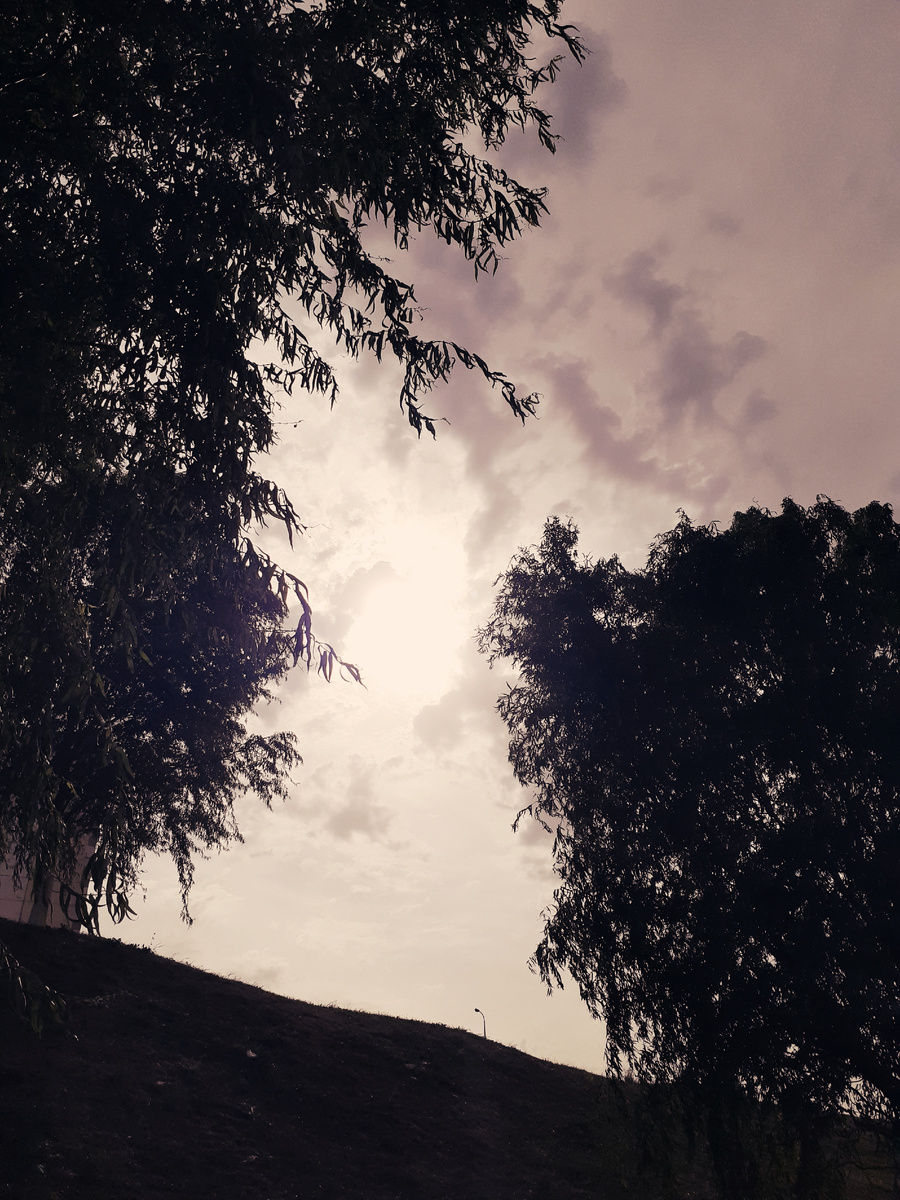 Фото автора.