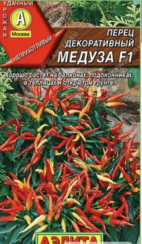 🌶🌶🌶