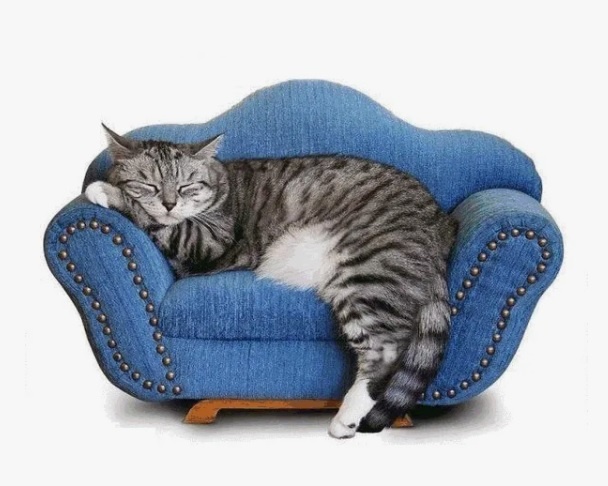 Из свободного источника