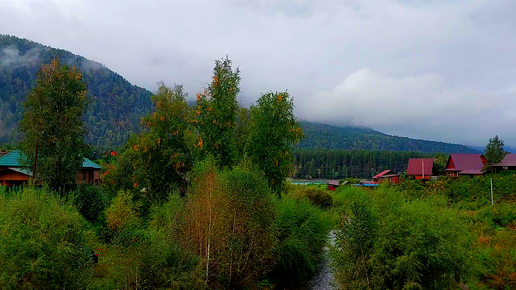 ГОРНЫЙ АЛТАЙ.💖РЕЧКА УЗНЕЗЯ.🏞 ВИД С МОСТА.🖌🎨ПЛЕНЭР