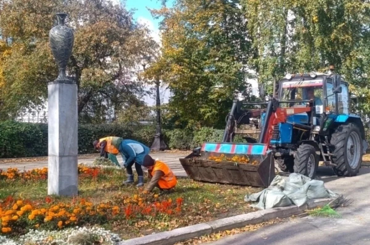    В Барнауле продолжают высаживать молодые деревья