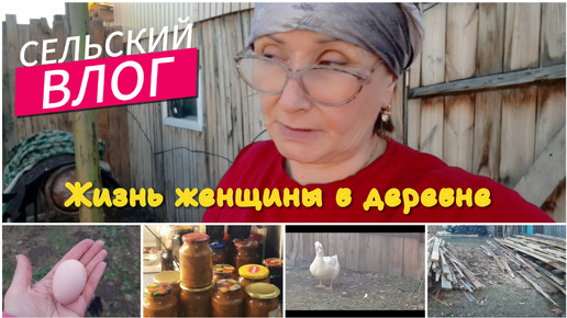 Download Video: Заготовки. Курочки несут яйца. Складываем доски.