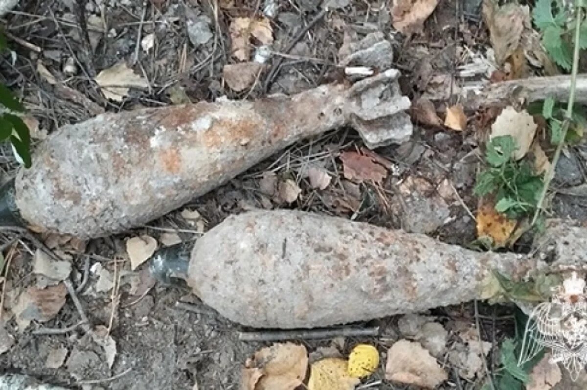    В лесу под Инзой грибники нашли две миномётные мины времен ВОВ