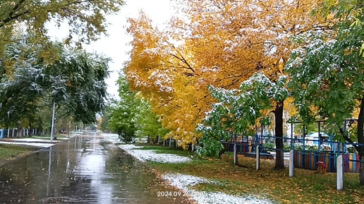 С первым снегом 🌨️