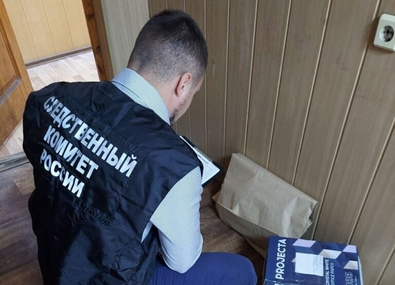    Убийство в Грачевском районе. Сын жестоко расправился с матерью Кристина Просвиркина