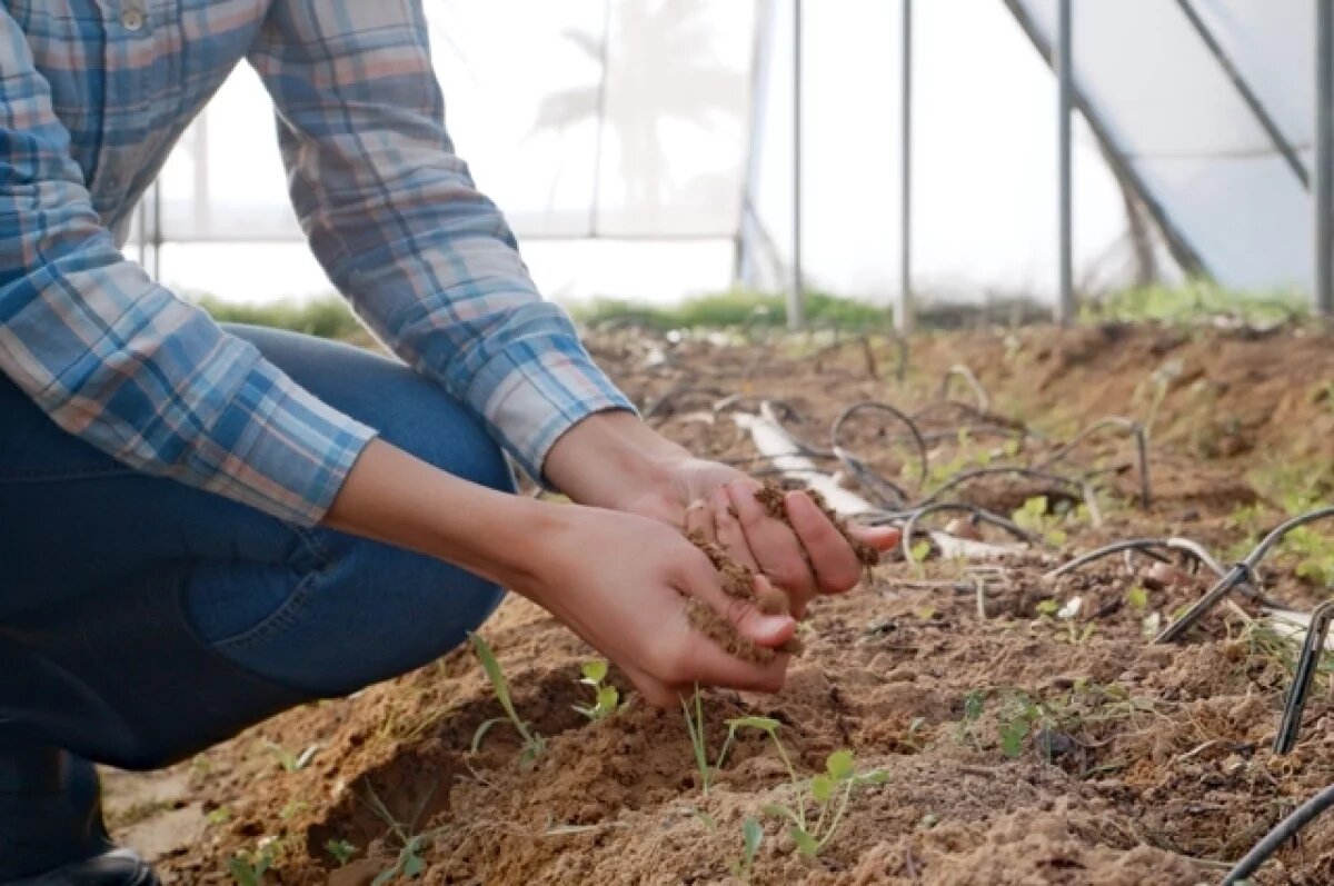    Как после машины навоза.