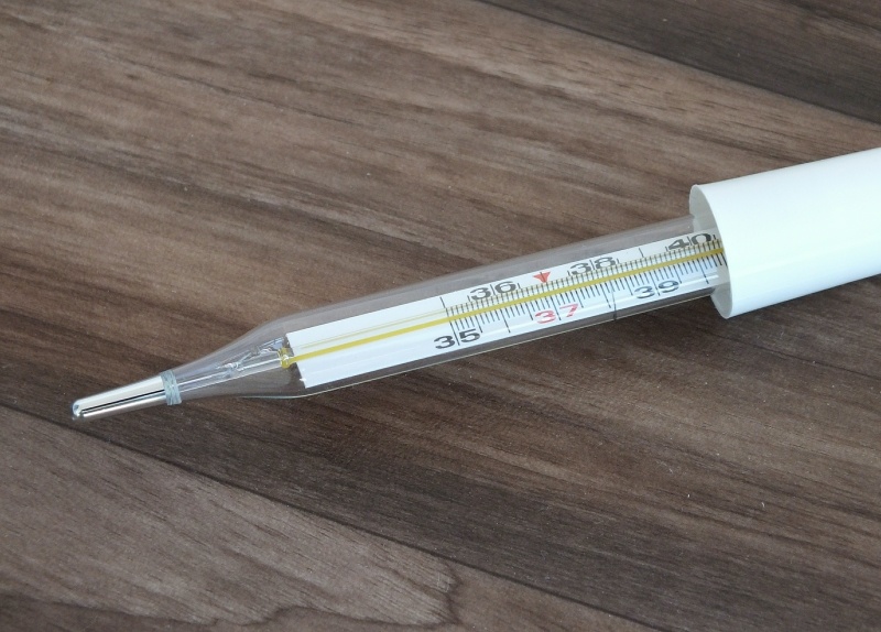    Фото: © Victor Lisitsyn/Globallookpress