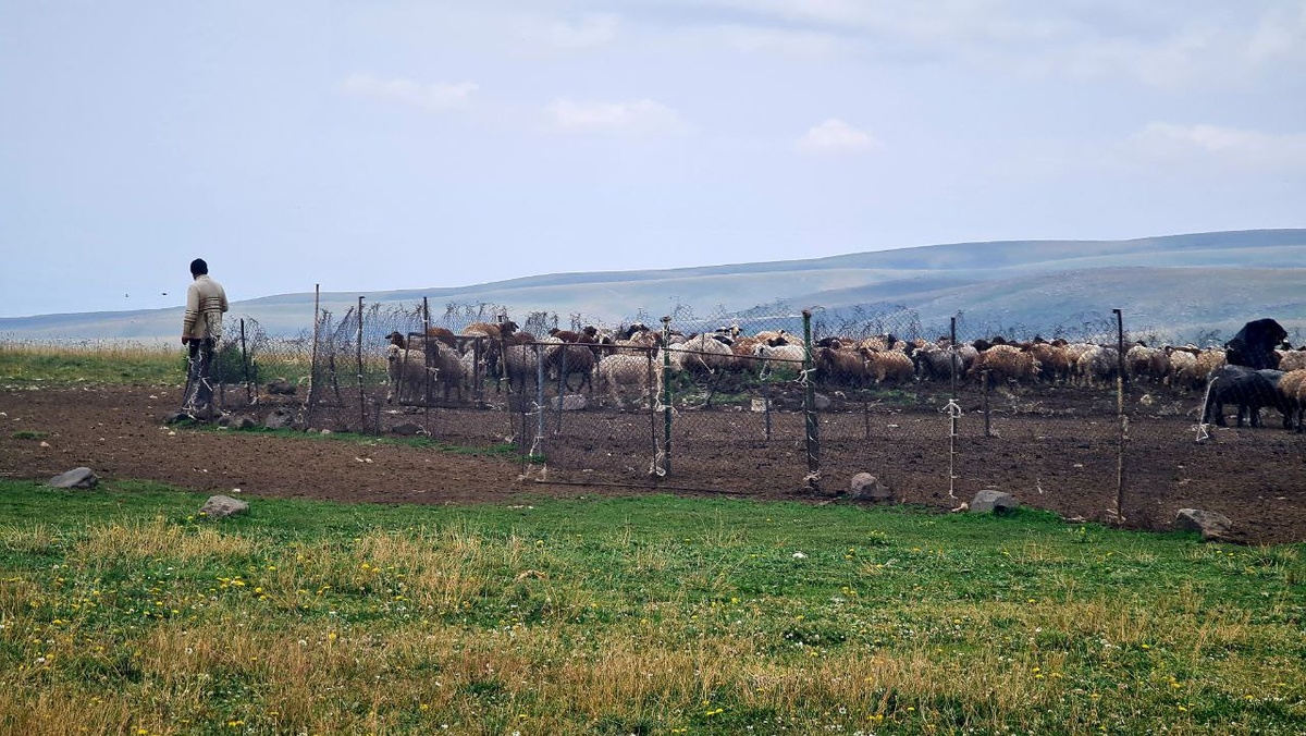 Гора Арагац июль 2024