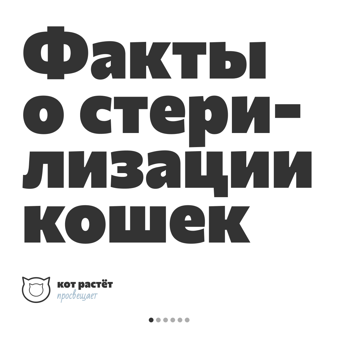 Листайте галерею, чтобы посмотреть все факты