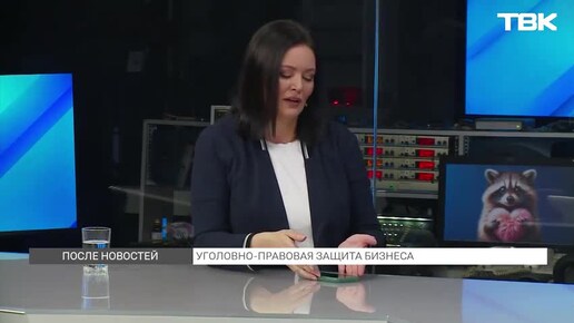 Descargar video: «Больше 70% дел против бизнеса – за мошенничество»: доктор юридических наук о главных правовых рисках для предпринимателей